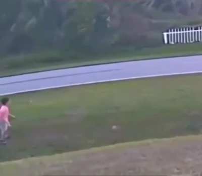 Family dog saves kid from being attacked by another dog