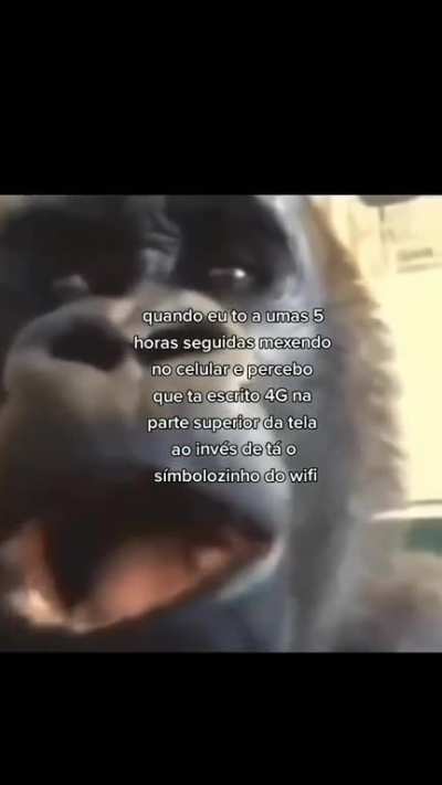 Foda
