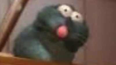 Rat