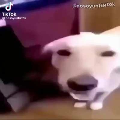 Fart sus cum HD