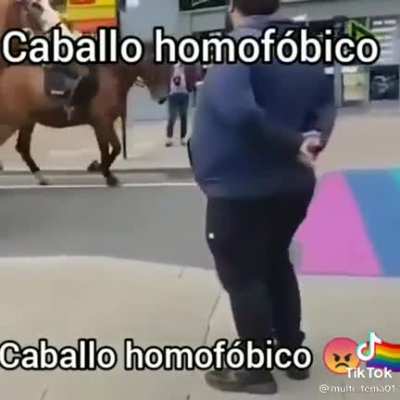 Caballo anti 🏳️&zwj;🌈