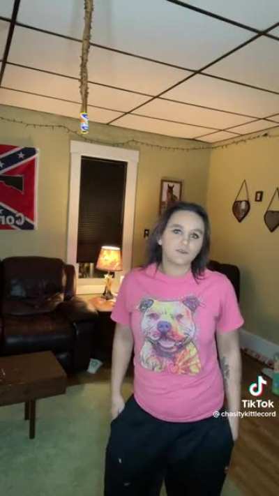 The dirty fly trap &amp;amp; confederate flag combo
