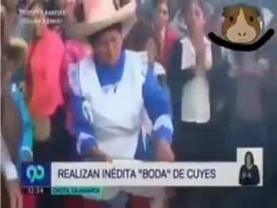 XD