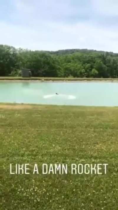 Rocket Dog