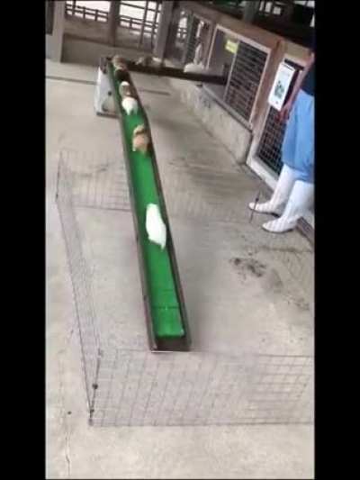 Умный конвейер. )
