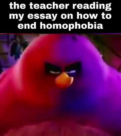 Essay