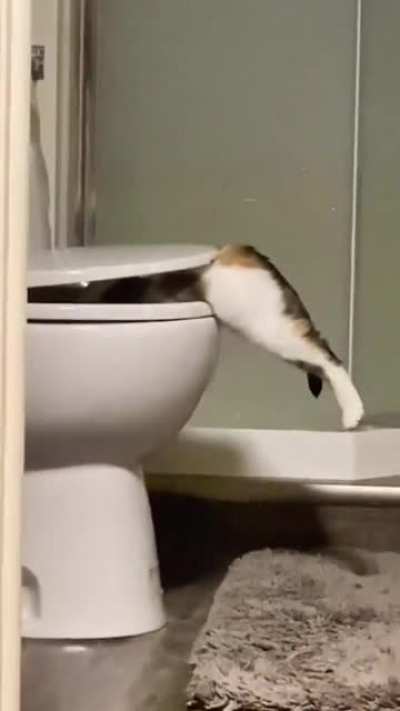 ???
