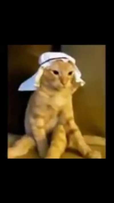 tim dilim dilim