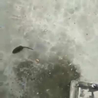 Twitch vs Malphite EPIC BATTLE!!!