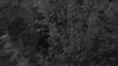 RU POV: Night work of "Center" Group of forces TOS-1A "Solntsepek" thermobaric shell strikes clearing the way for motorized riflemen, in the Pokrovsky direction.