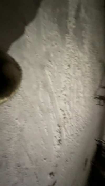 I suck dick anywhere and anytime