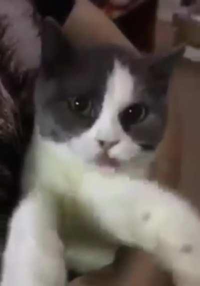 F o f o