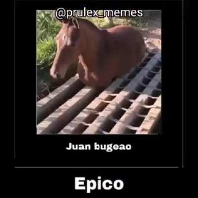 Juan