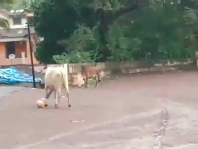 Desi Football