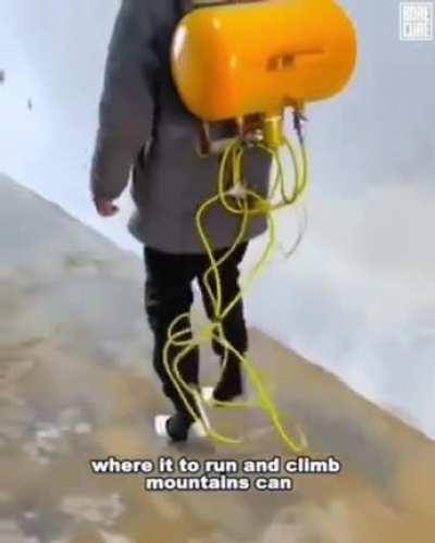 humanity
