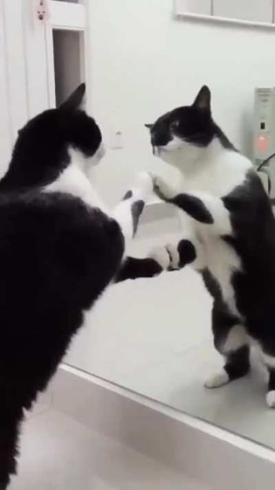 Wait for it...