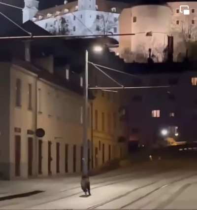Meanwhile in the Bratislava centre this weekend