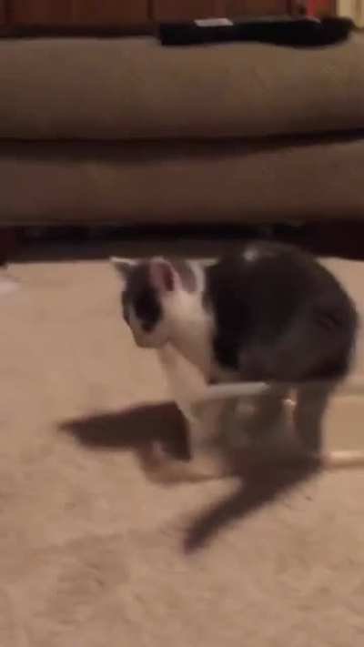 I&rsquo;ve never seen him move so fast