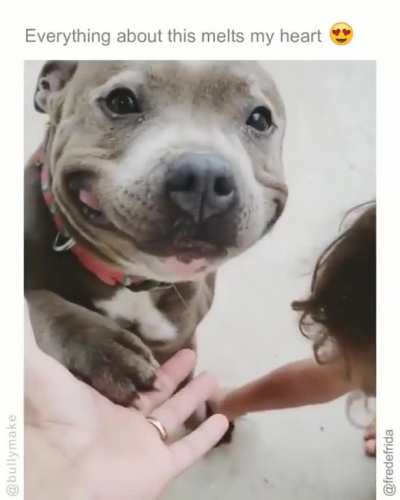 OMG this is so cute