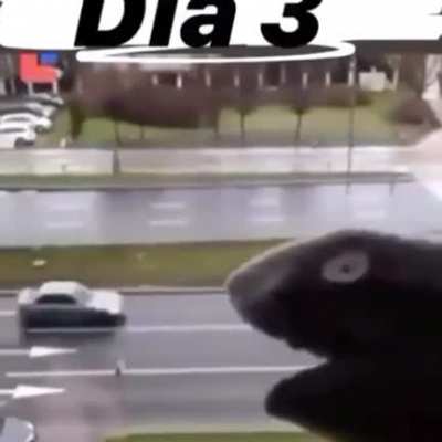 Me in quarantine