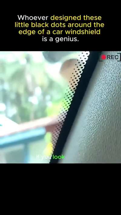 Those tiny black dots on your windshield (the 