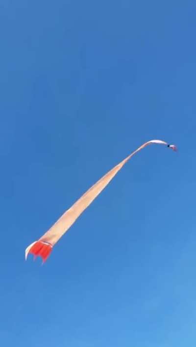 The 3 y old kid gets yeeeted by the kite, but survives.