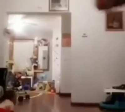 Yullalol - Video #9133