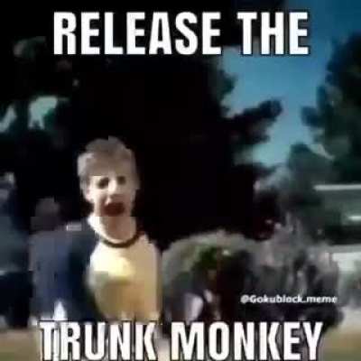 Trunk Monkey tRUNK mONKEY