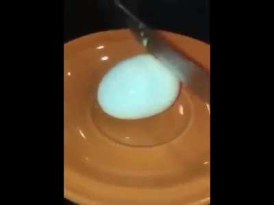 Egg.