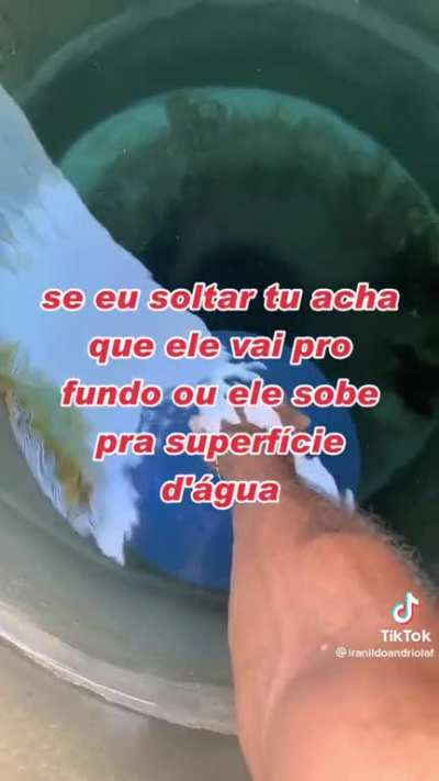 ele desce ou sobe?