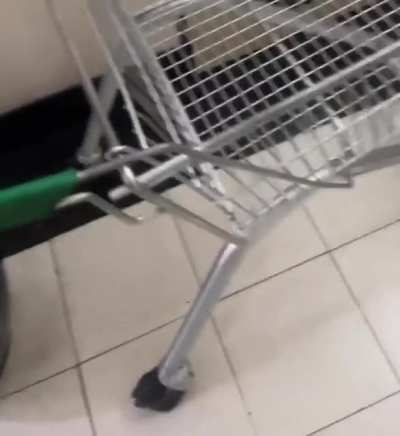 Amo este pais