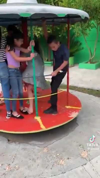 Карусель карусель