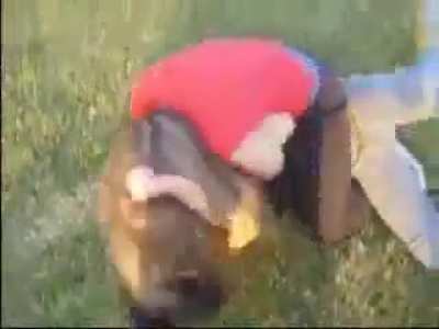 White chicks fight
