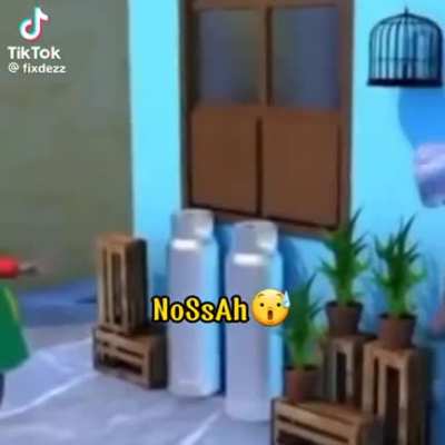 Nooosss