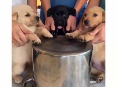 Most important video of this year