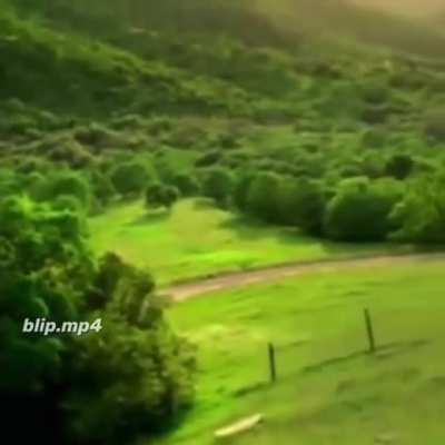 Si
