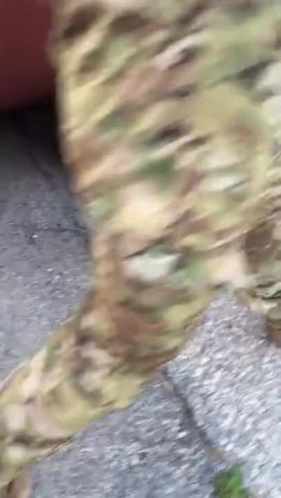 Tiny little soldier