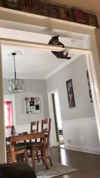 He's training for Ninja warriors. 