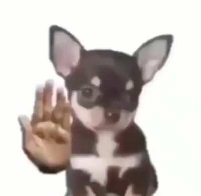 I&rsquo;m 15 and this is yeet