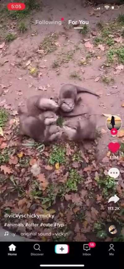 not my video, but it was too cute not to share 🥲