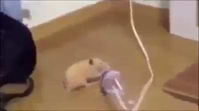 Hihi :3