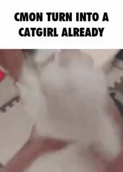 CMON