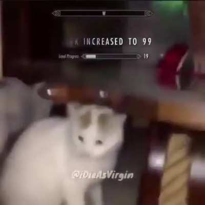 Skyrim com mod ae