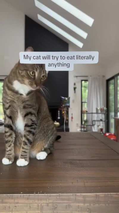 Meta Wunk