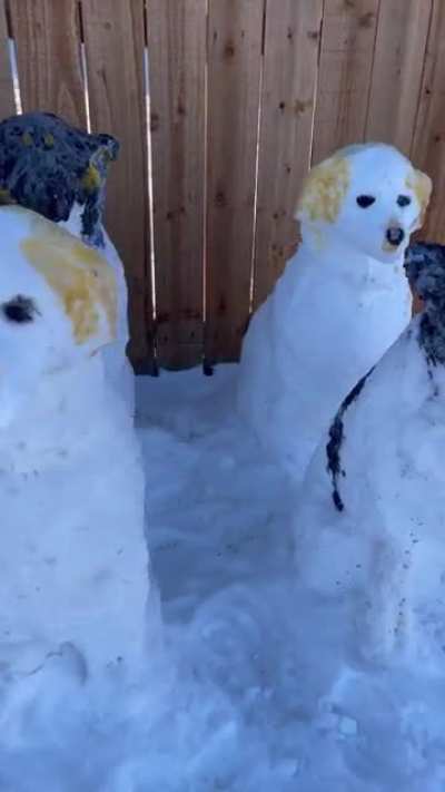 One last winter storm, so I made snow dogs&hellip;14 of them