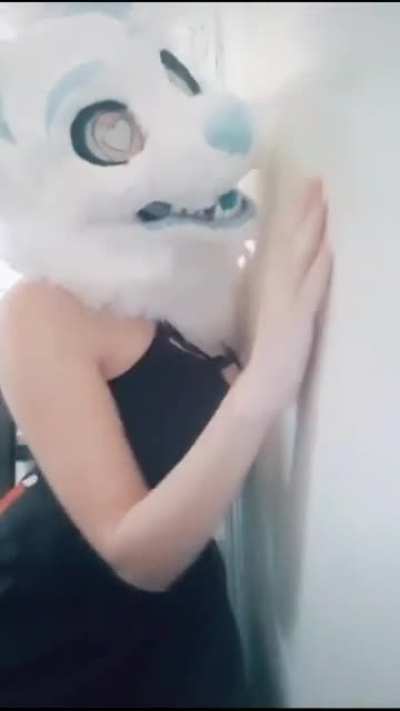 1 Upvote = 1 Furro esclavizado