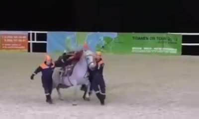 What could go wrong? Let&rsquo;s put that stretcher on the horse!