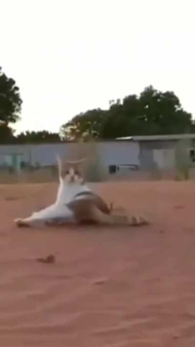 Что это было?