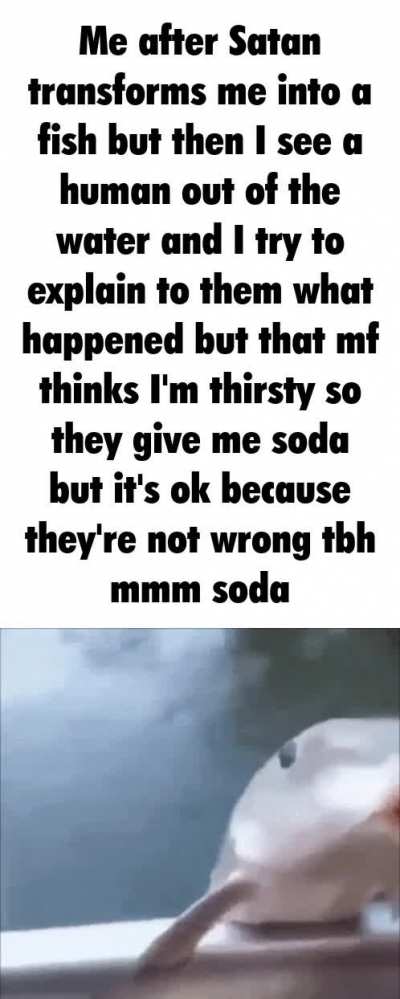 I usually only post memes I make because I feel weird getting attention for something someone else made but this was too funny so I had to share it