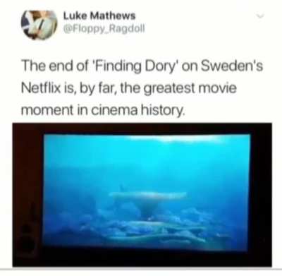 Cheeky Dori